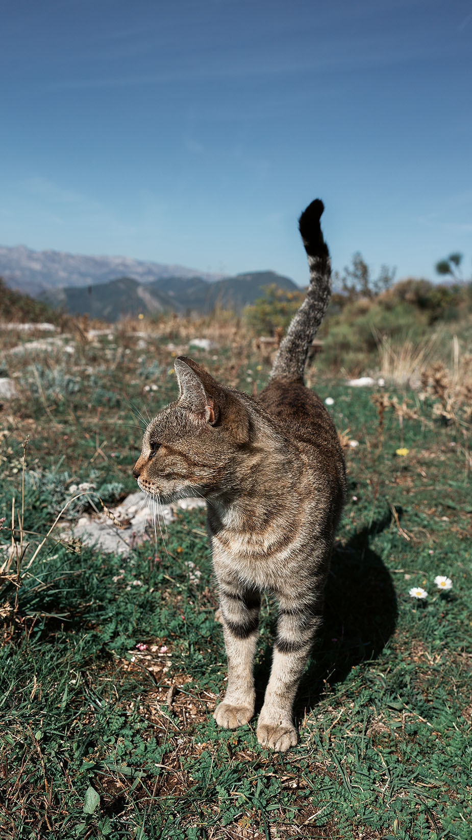 Монастырь Острог и дорога к нему. Портретный фотограф, контент фотограф, продающие фото в Москве и МО