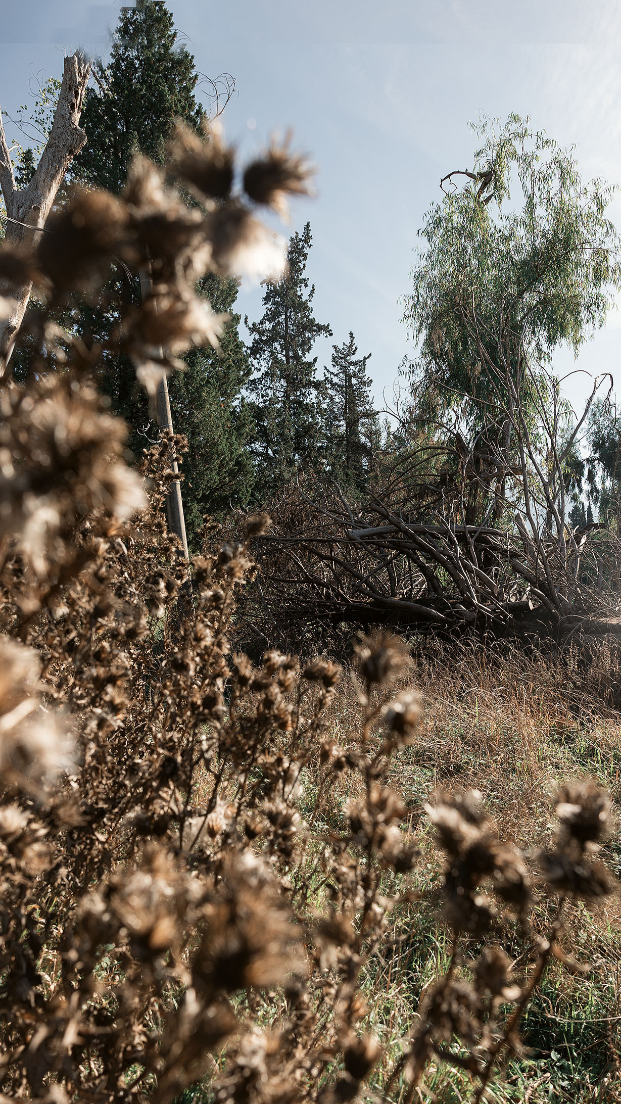 Парк Жупа город Тиват. Портретный фотограф, контент фотограф, продающие фото в Москве и МО