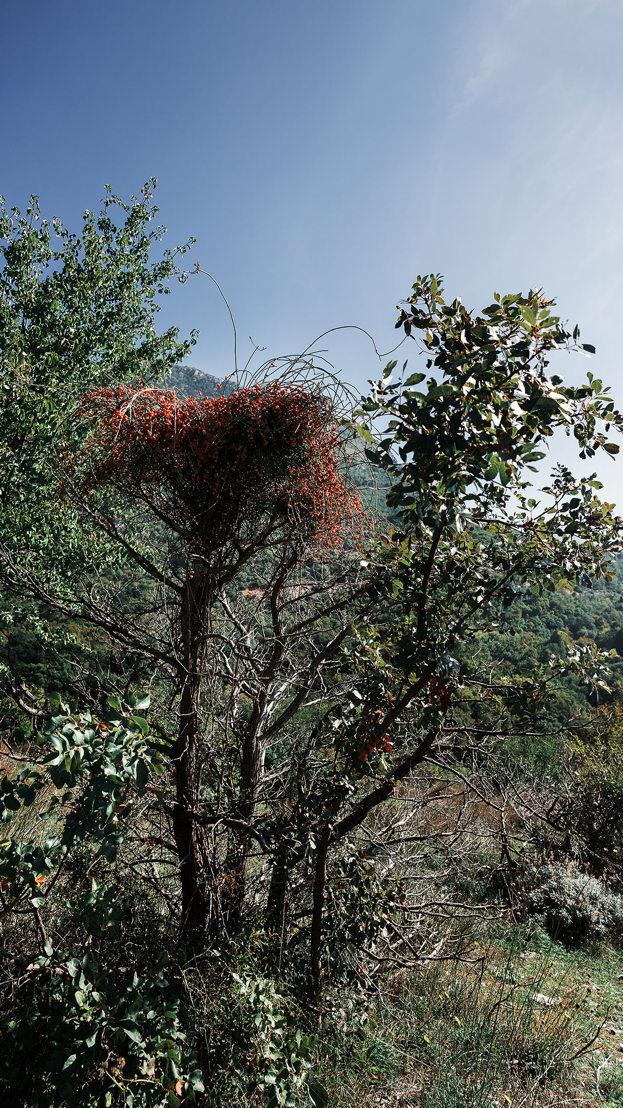 Монастырь Острог и дорога к нему. Портретный фотограф, контент фотограф, продающие фото в Москве и МО