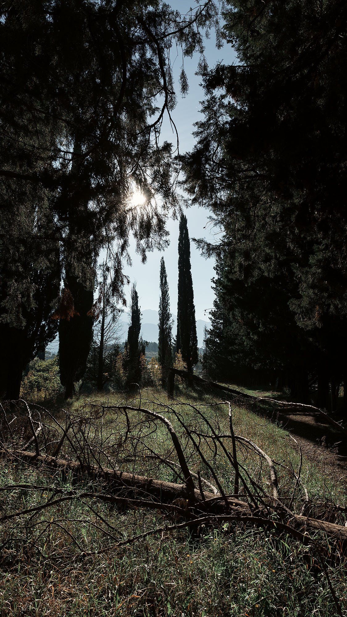 Парк Жупа город Тиват. Портретный фотограф, контент фотограф, продающие фото в Москве и МО