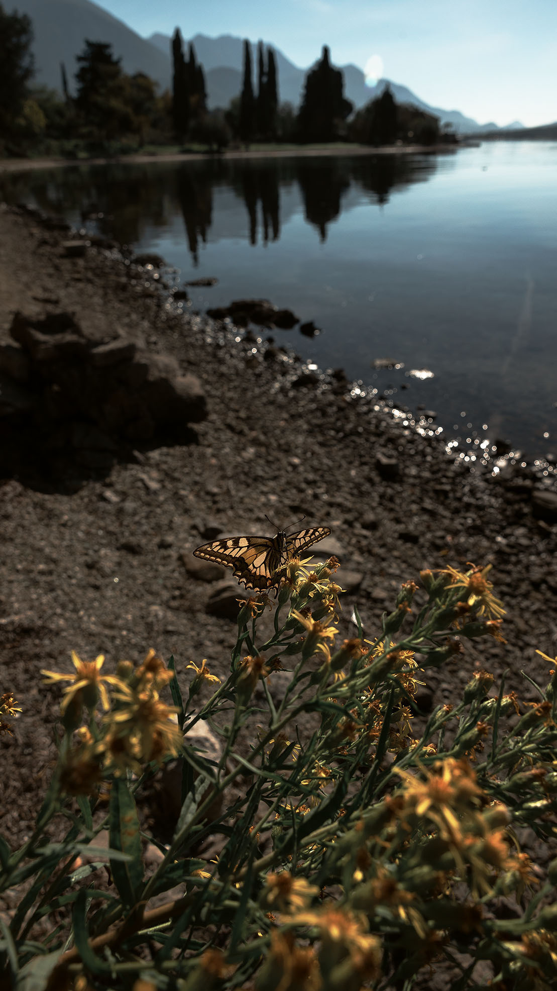Парк Жупа город Тиват. Портретный фотограф, контент фотограф, продающие фото в Москве и МО