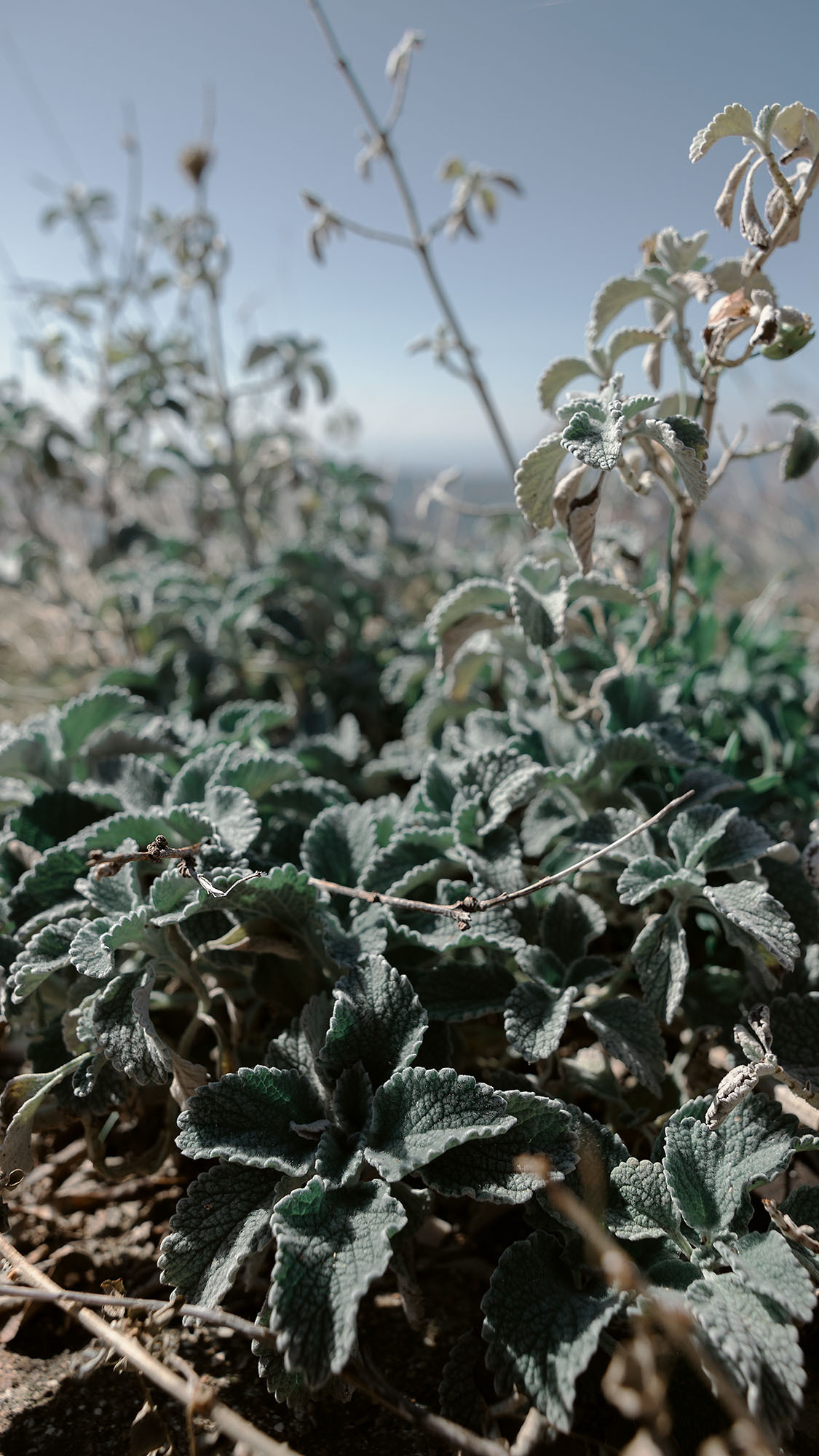 Монастырь Острог и дорога к нему. Портретный фотограф, контент фотограф, продающие фото в Москве и МО