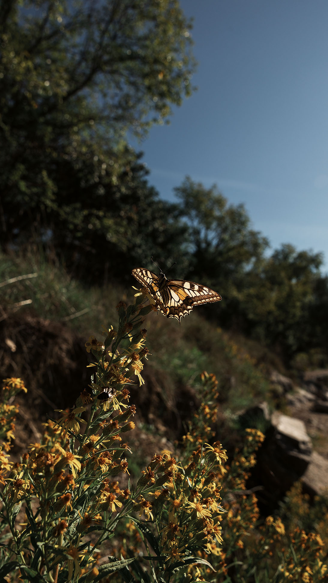 Парк Жупа город Тиват. Портретный фотограф, контент фотограф, продающие фото в Москве и МО
