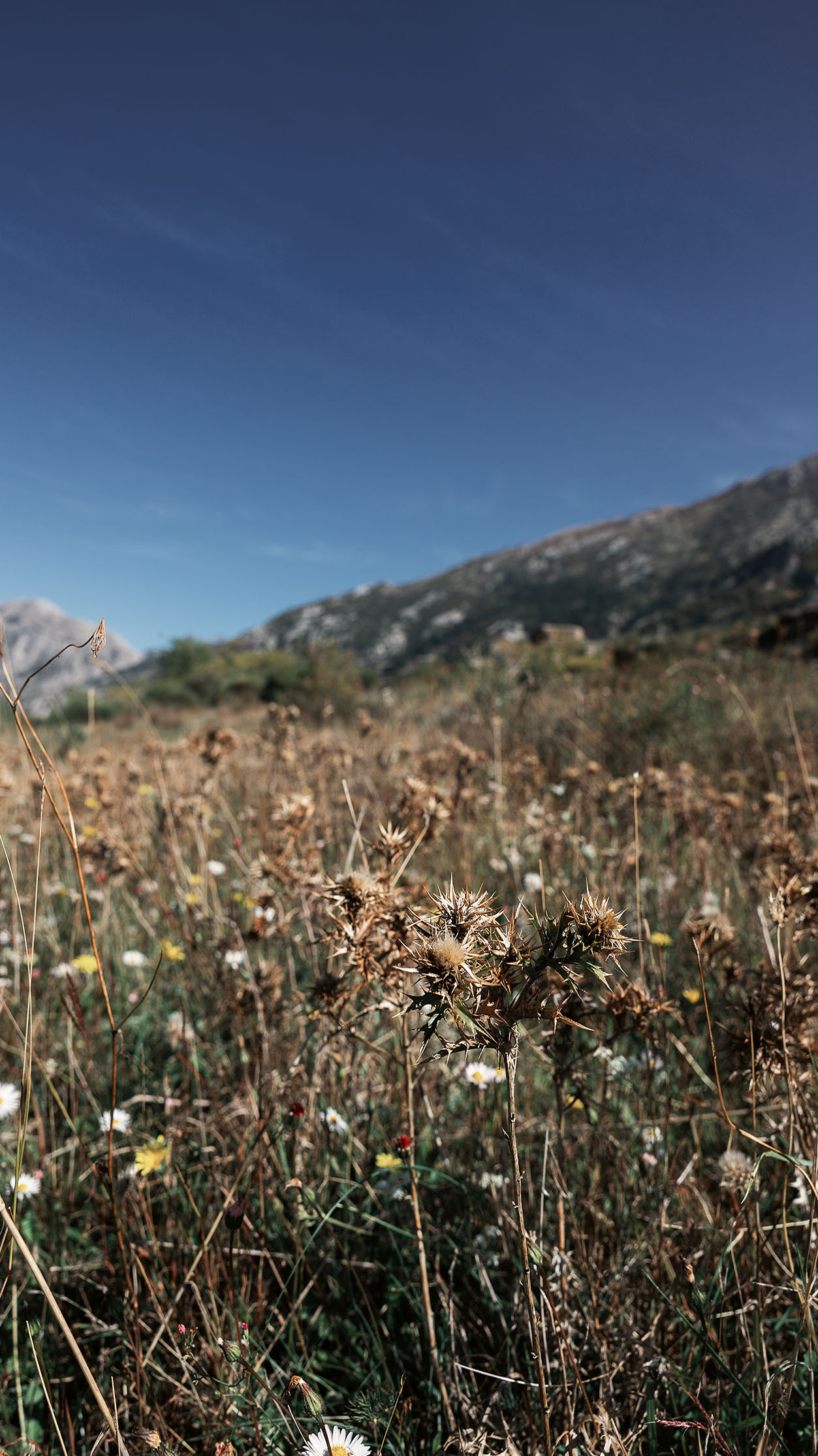 Монастырь Острог и дорога к нему. Портретный фотограф, контент фотограф, продающие фото в Москве и МО