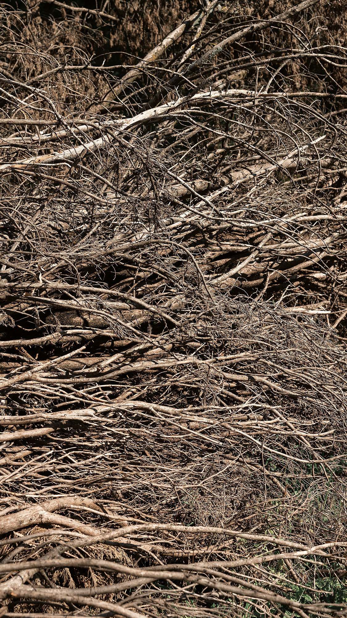Парк Жупа город Тиват. Портретный фотограф, контент фотограф, продающие фото в Москве и МО