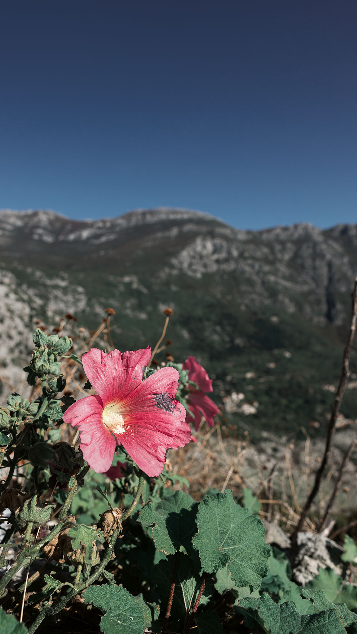 Монастырь Острог и дорога к нему. Портретный фотограф, контент фотограф, продающие фото в Москве и МО