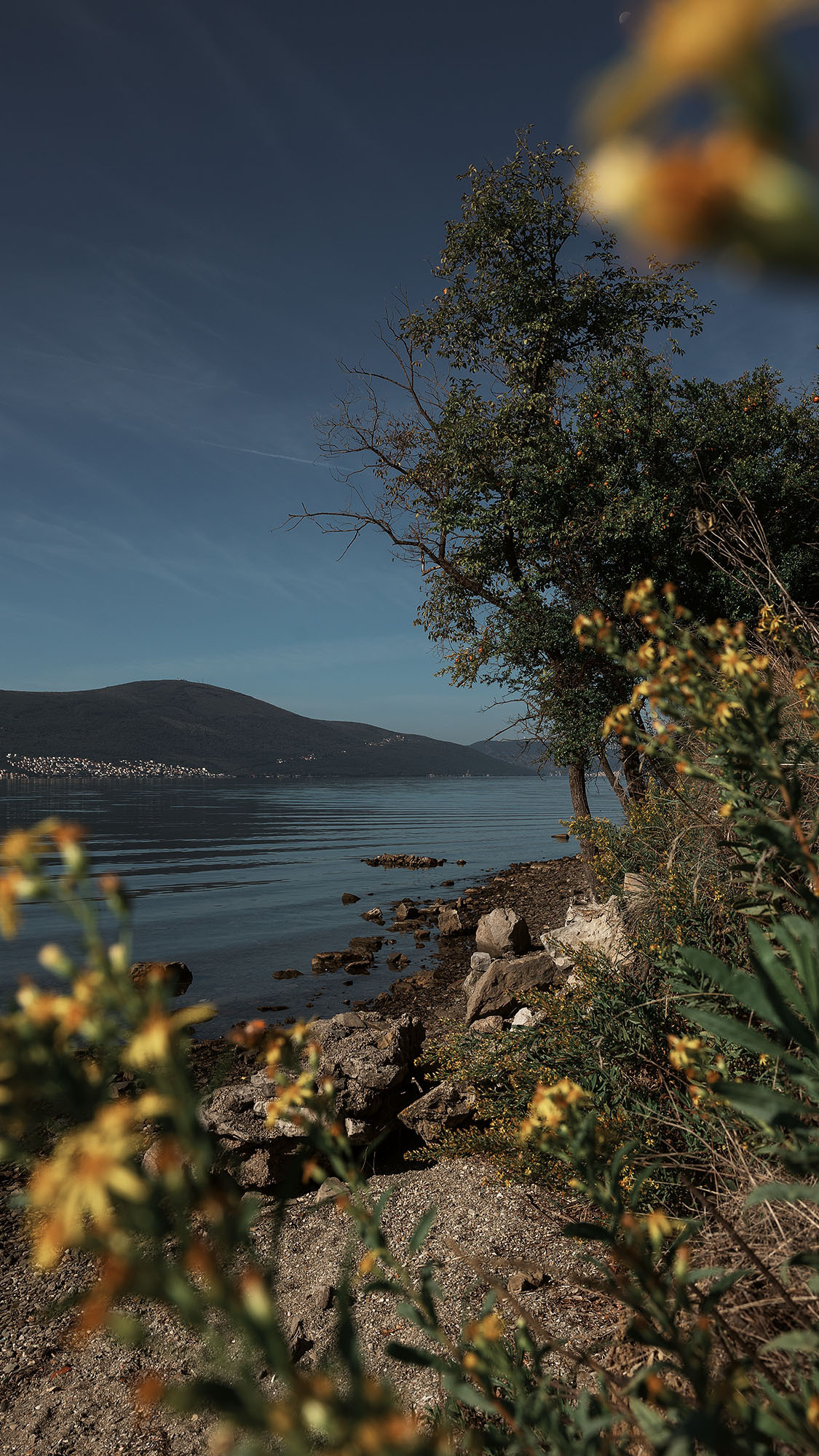 Парк Жупа город Тиват. Портретный фотограф, контент фотограф, продающие фото в Москве и МО