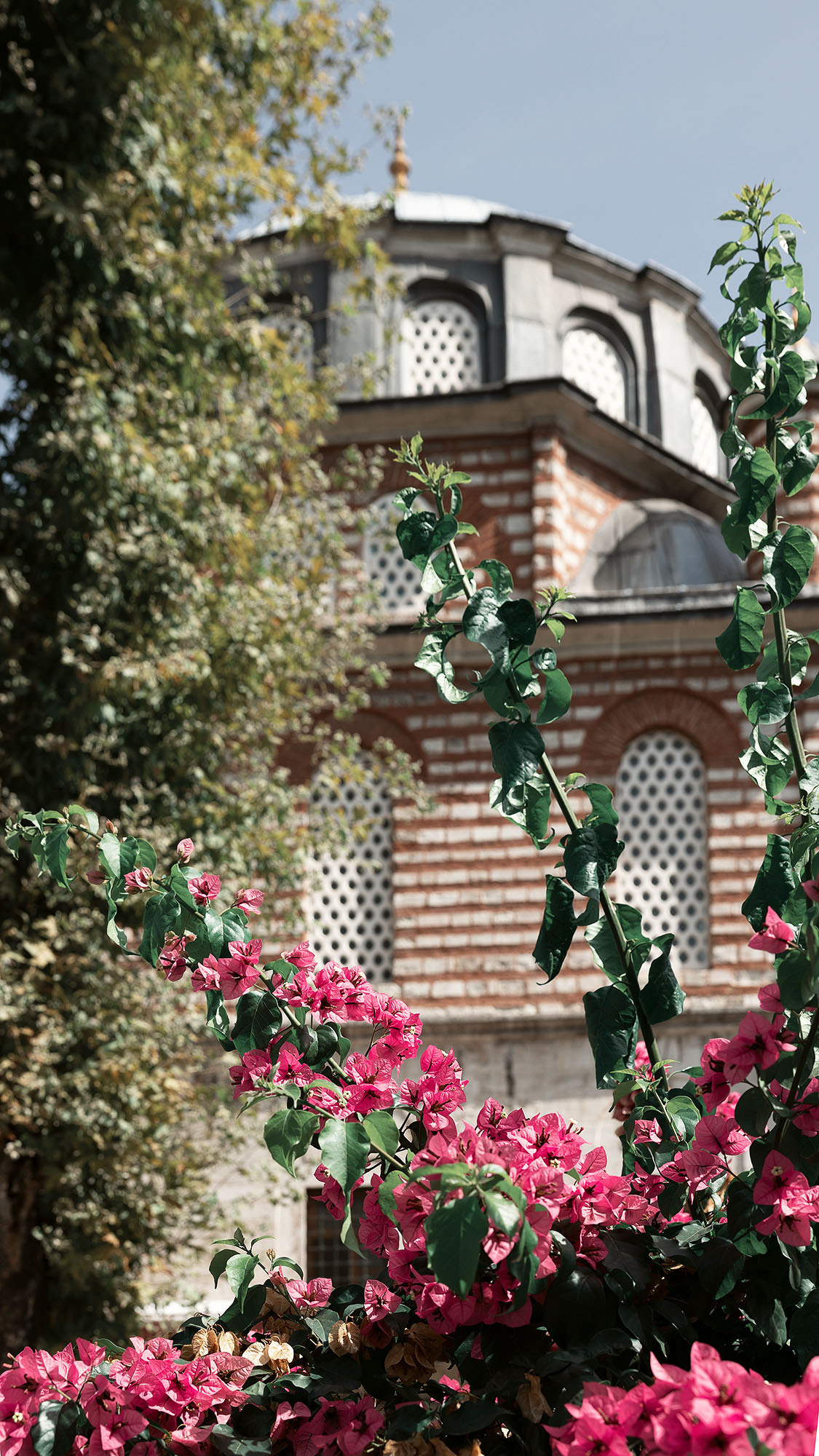 Стамбул. Портретный фотограф, контент фотограф, продающие фото в Москве и МО