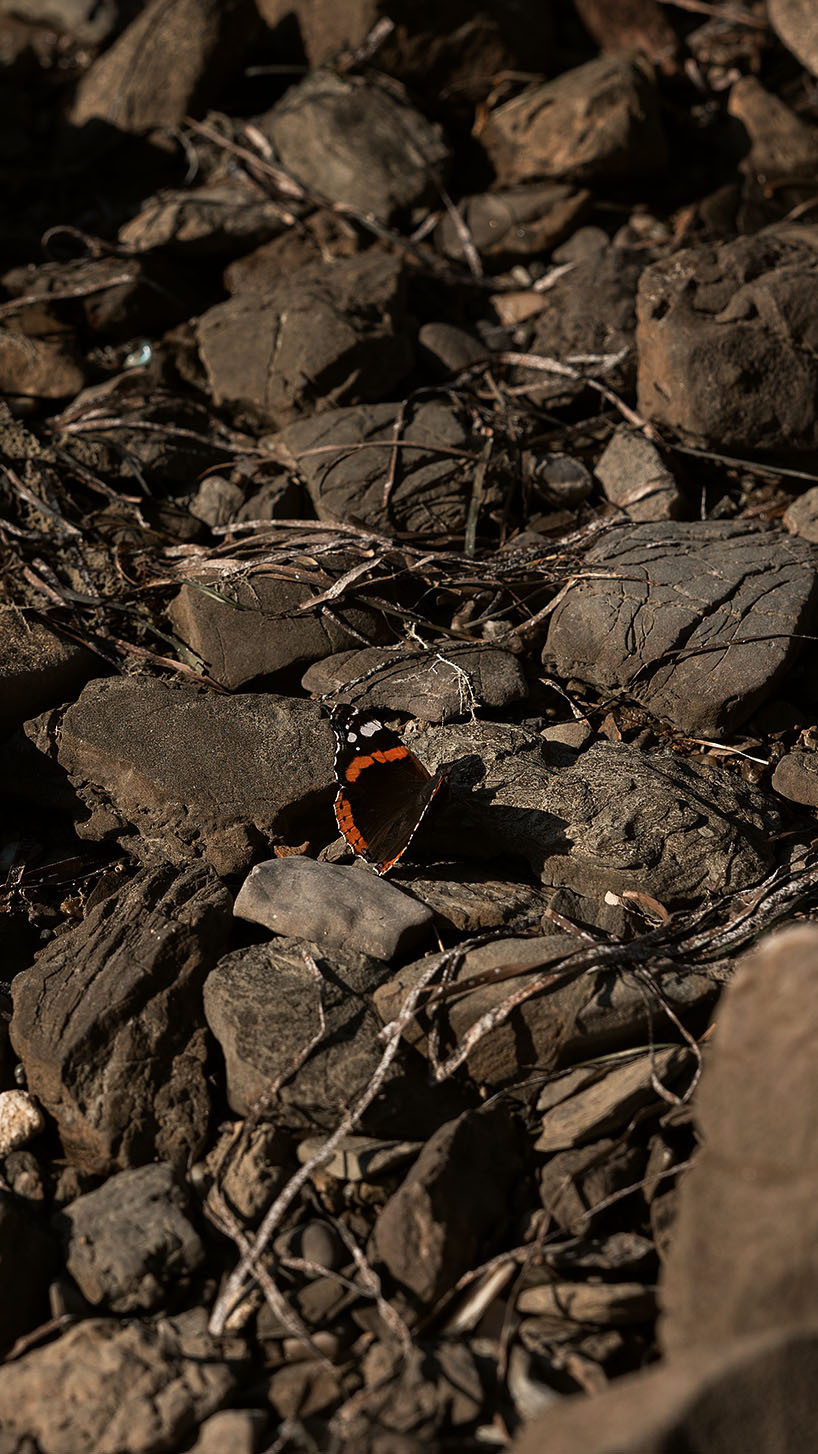 Парк Жупа город Тиват. Портретный фотограф, контент фотограф, продающие фото в Москве и МО