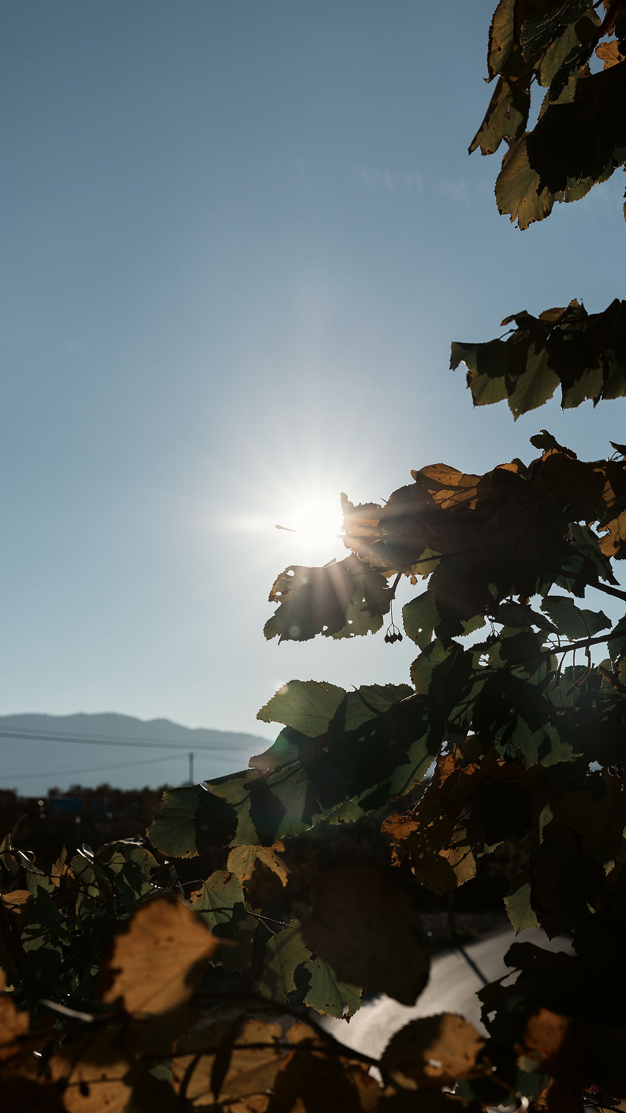 Монастырь Острог и дорога к нему. Портретный фотограф, контент фотограф, продающие фото в Москве и МО