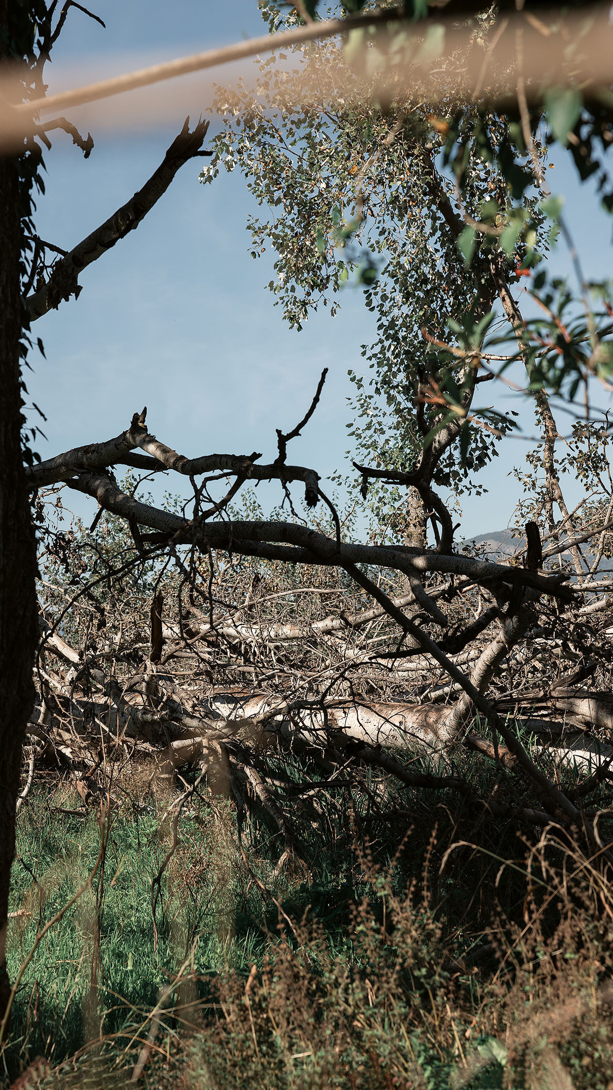 Парк Жупа город Тиват. Портретный фотограф, контент фотограф, продающие фото в Москве и МО