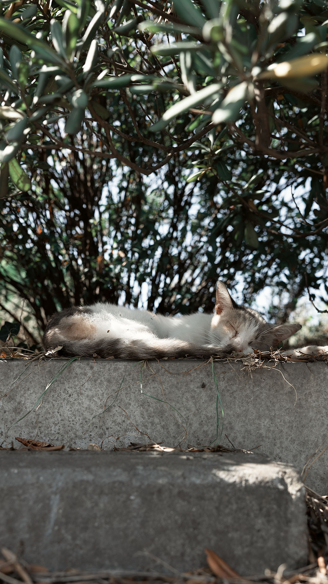 Стамбул. Портретный фотограф, контент фотограф, продающие фото в Москве и МО