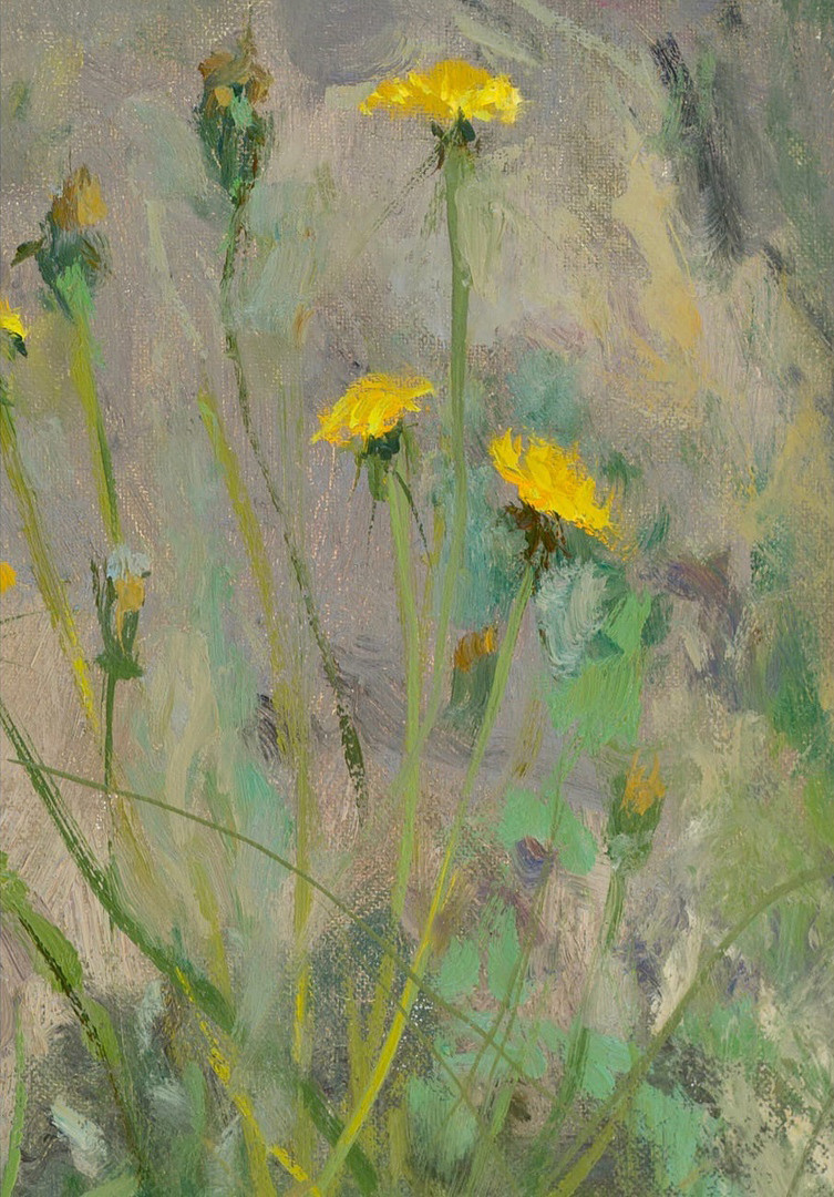 Одуванчики у камня. Художник Александр Каверин