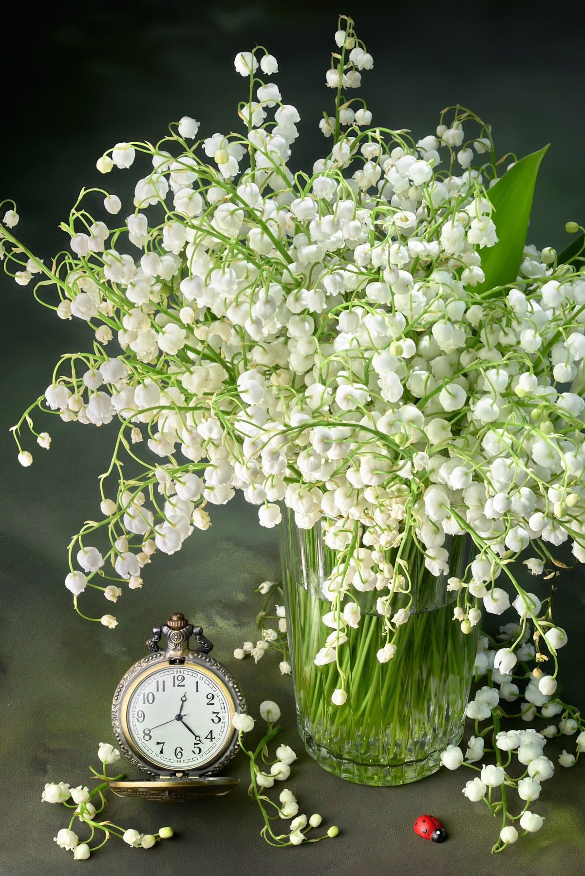 Художественный натюрморты, авторский стиль. Устремляясь ввысь… (фото от автора с ником Tom Fincher)