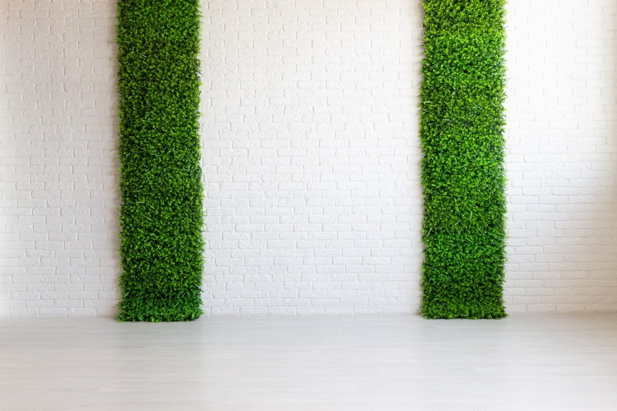 Локации студии. Фотостудия Алматы. Фотосъемка Алматы. Фотосессия Алматы. Фотокурсы. Обучение фотографии. Аренда студии