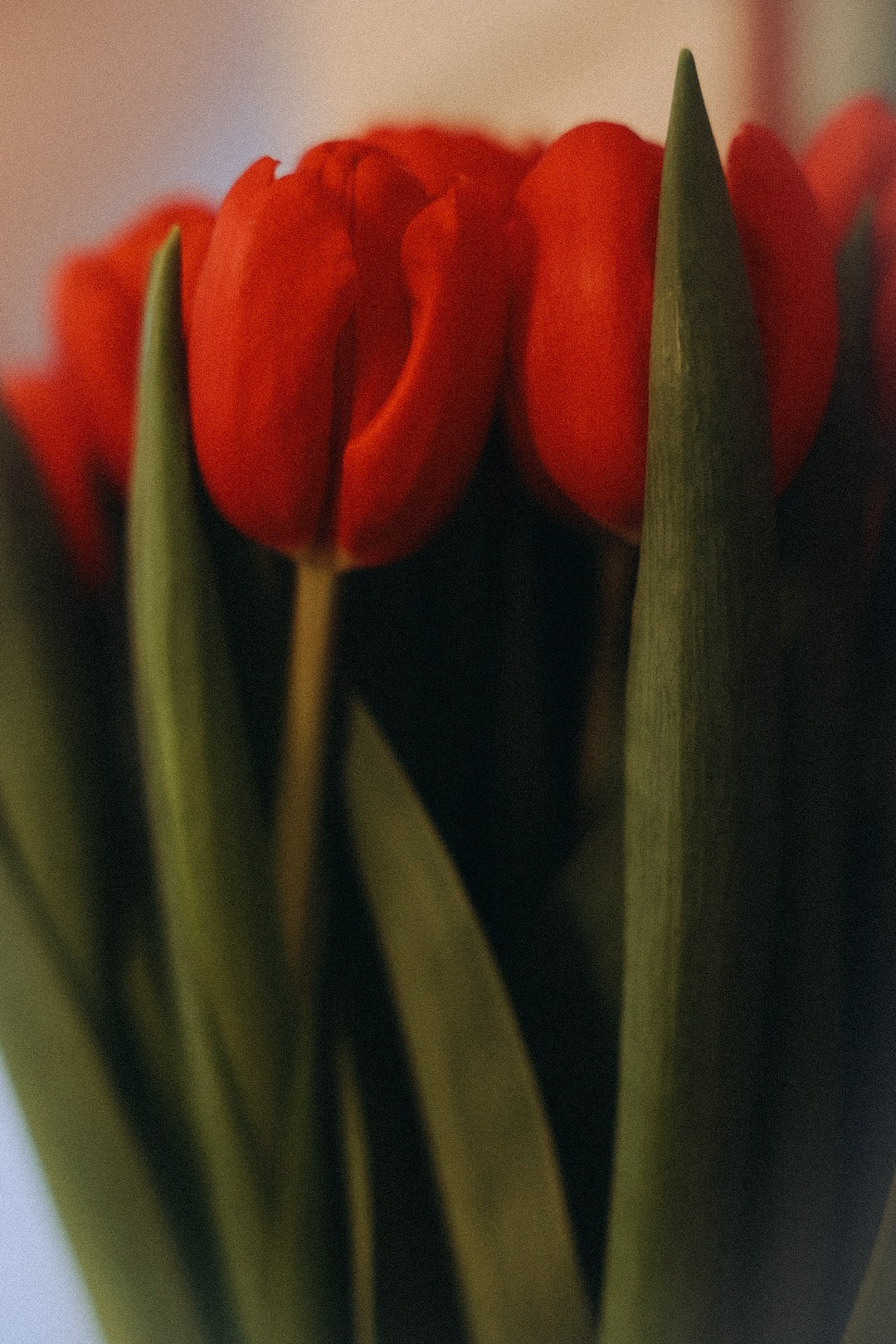 Ане целый год 🤍. Фотограф Нижний Новгород