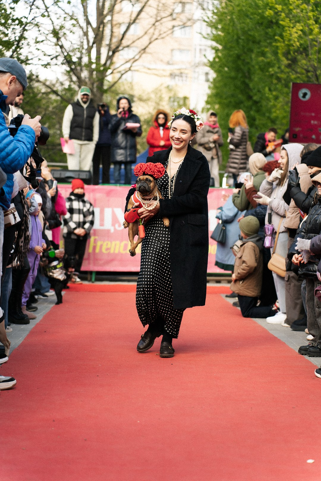 Парад Бульдогов. Axenov_eugene