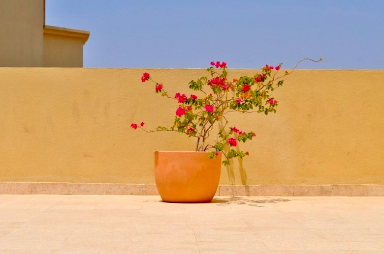 Калейдоскоп путешествий. Семейный и детский фотограф. Москва. Пронина Тома