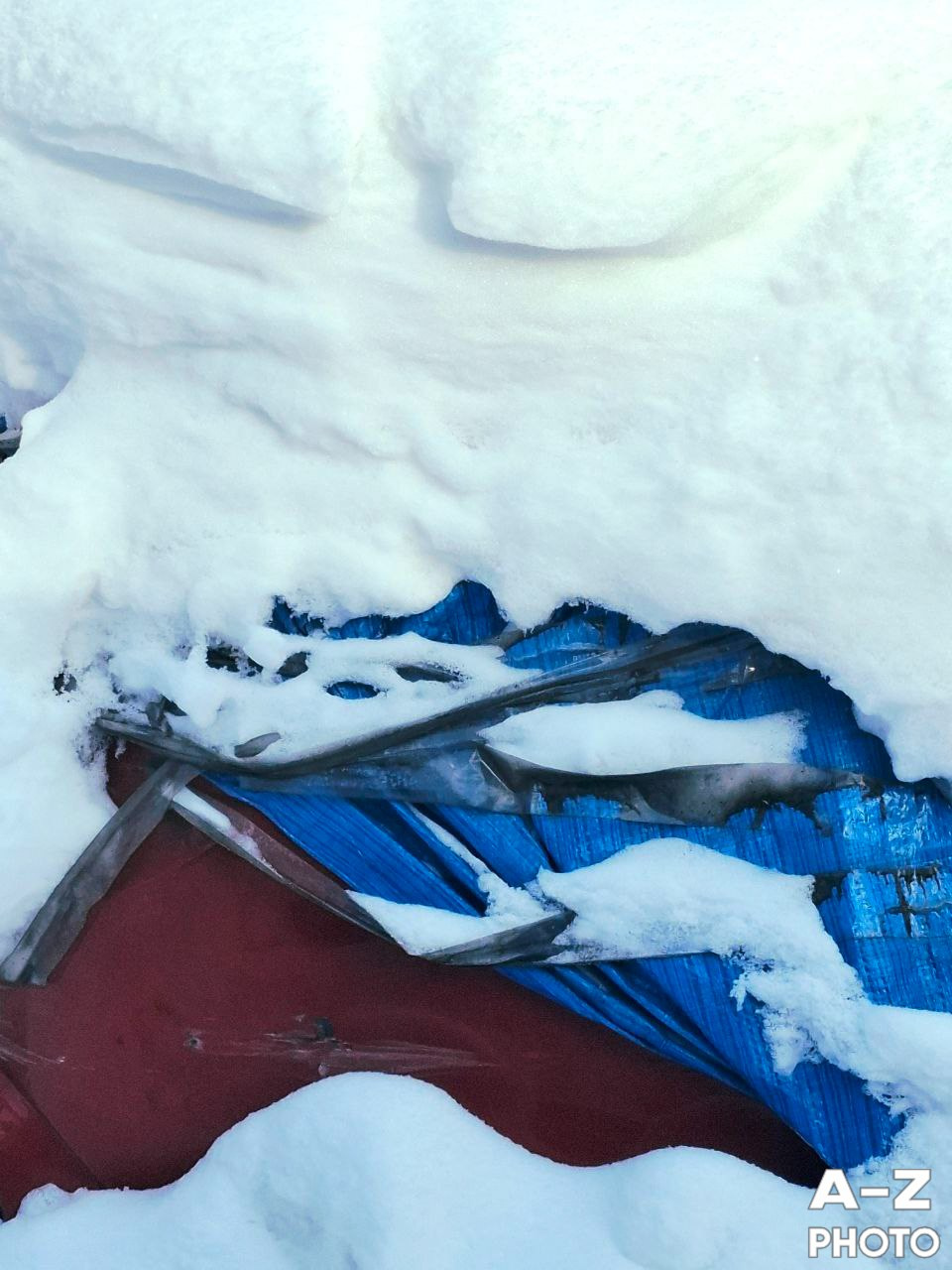 #ФОТОНЕДЕЛИ 19.01.2026. Женский семейный фотограф Тула Москва Захарова Анна