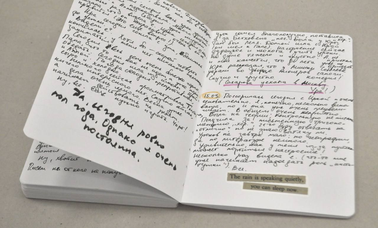 Anna’s Diary / Дневник А. Художник Катерина Копейкина / Artist Katerina Kopeikina