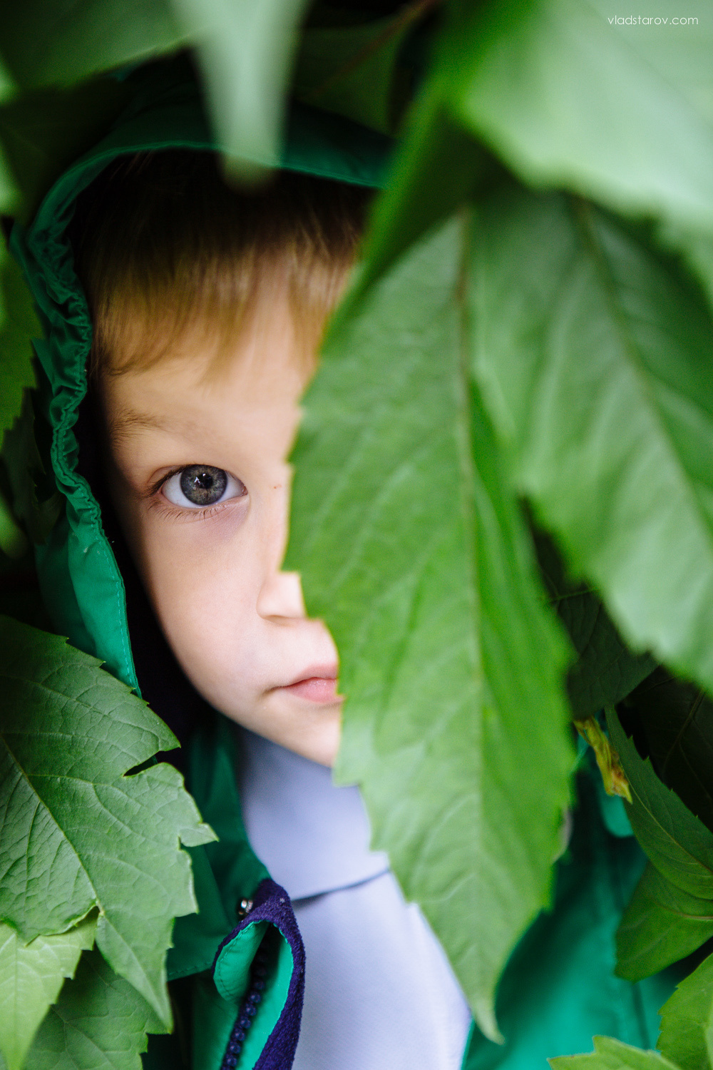 Огромная семья. Детский, семейный и школьный фотограф Смоленск Москва Влад Старов