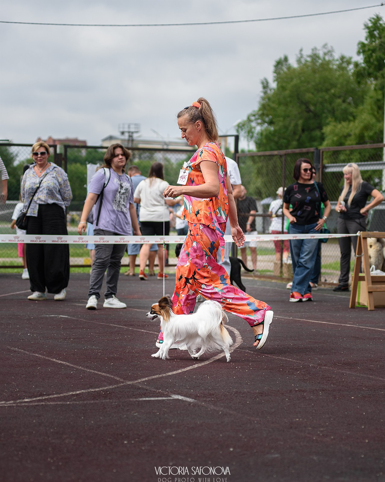 10 августа 2024. Благовещенск. Фотограф анималист Благовещенск. Сафонова Виктория