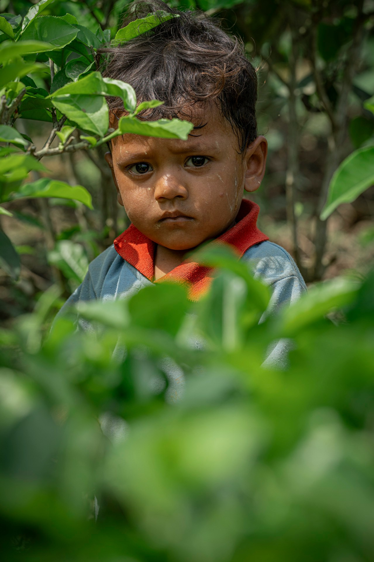 India travel. Фотограф Сергей Танков