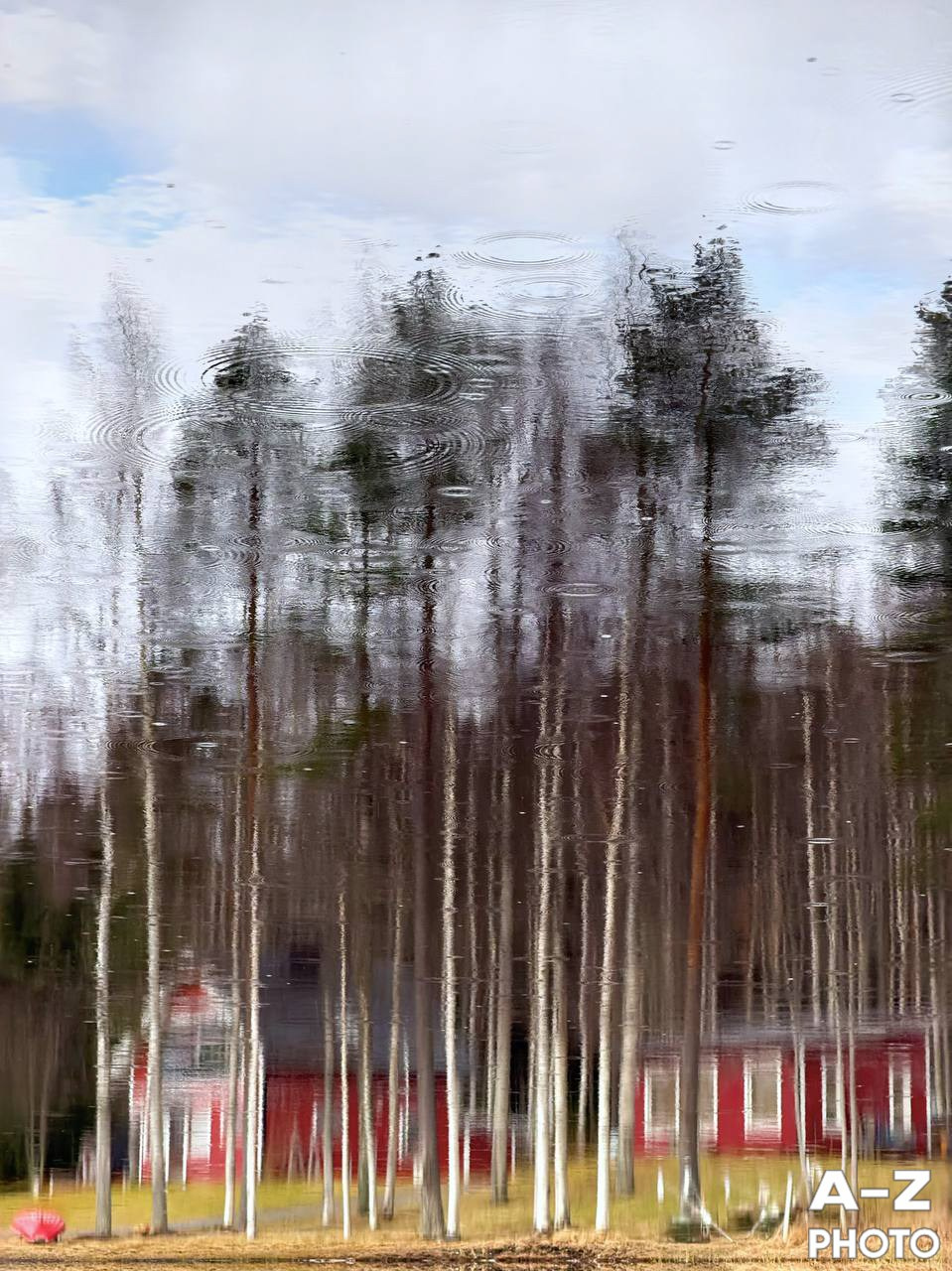 #ФОТОНЕДЕЛИ 13.04.2026. Женский семейный фотограф Тула Москва Захарова Анна