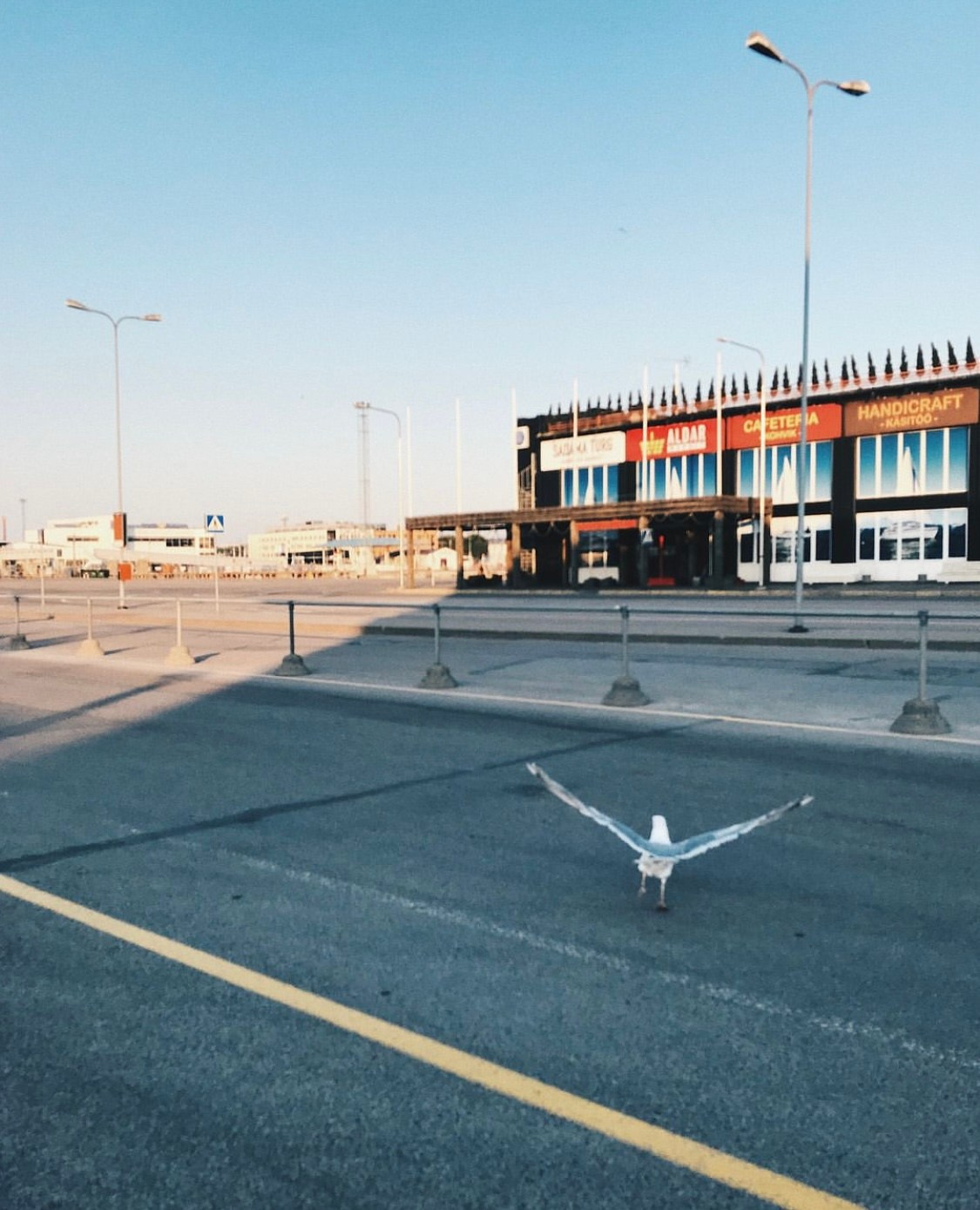 Таллин. Аня Степанова