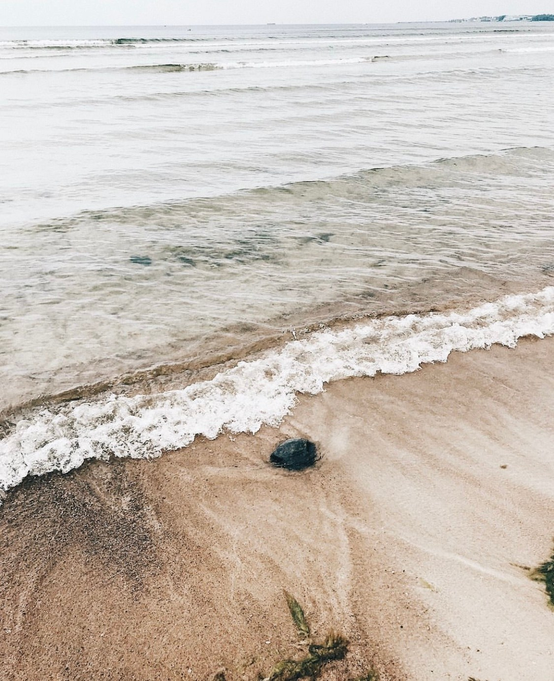 Таллин. Аня Степанова