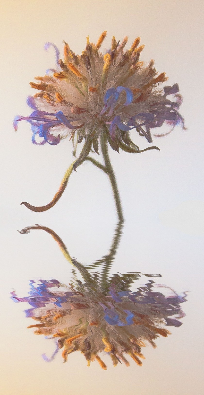 Природное. Обо всём