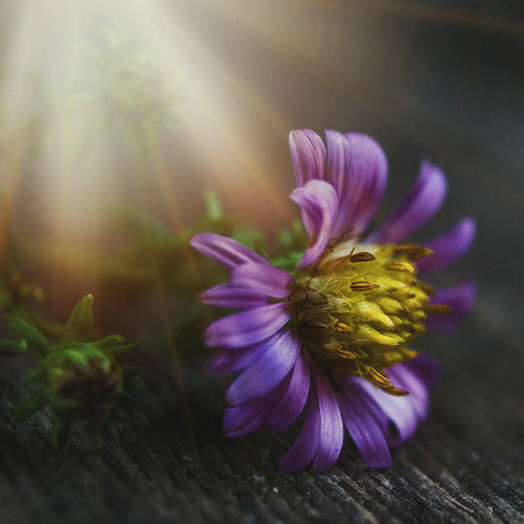 Природное. Обо всём