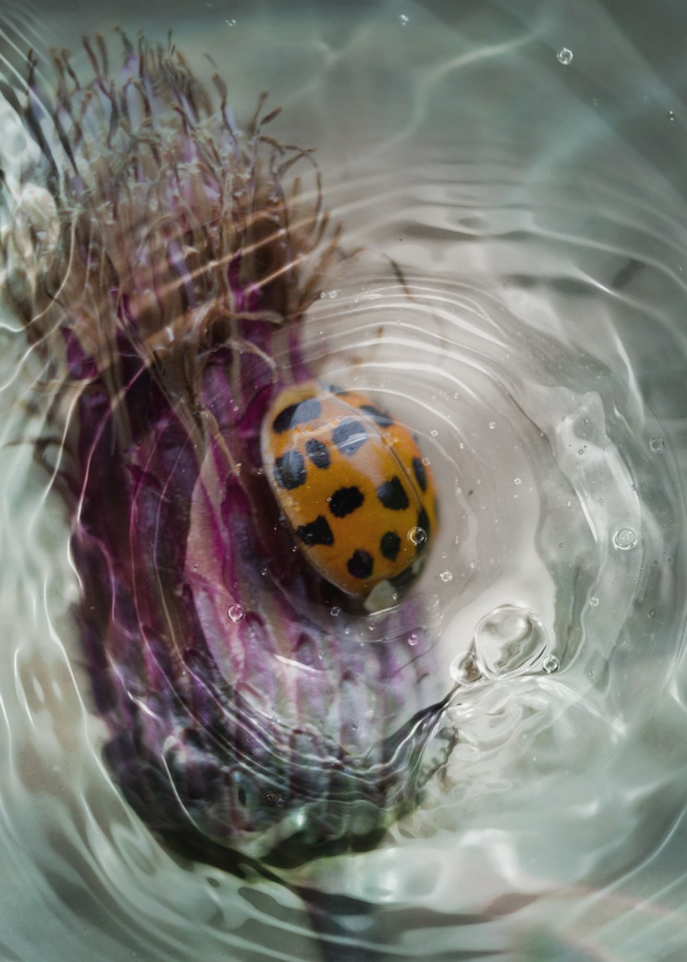 Миксы. Обо всём