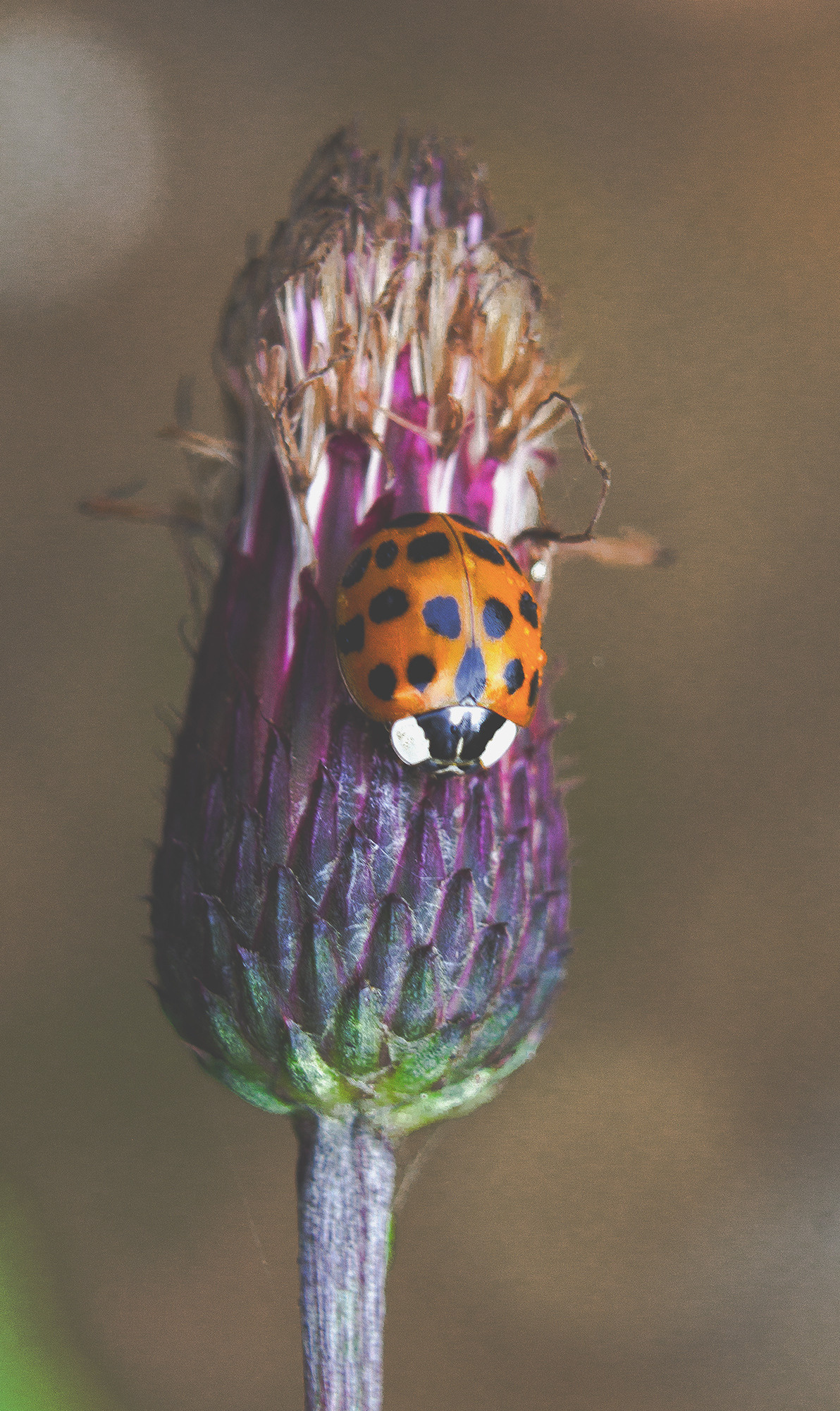 Макро. Обо всём