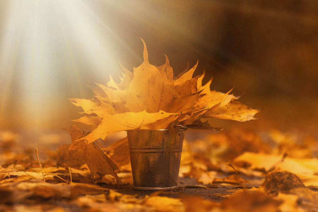 Миксы. Обо всём