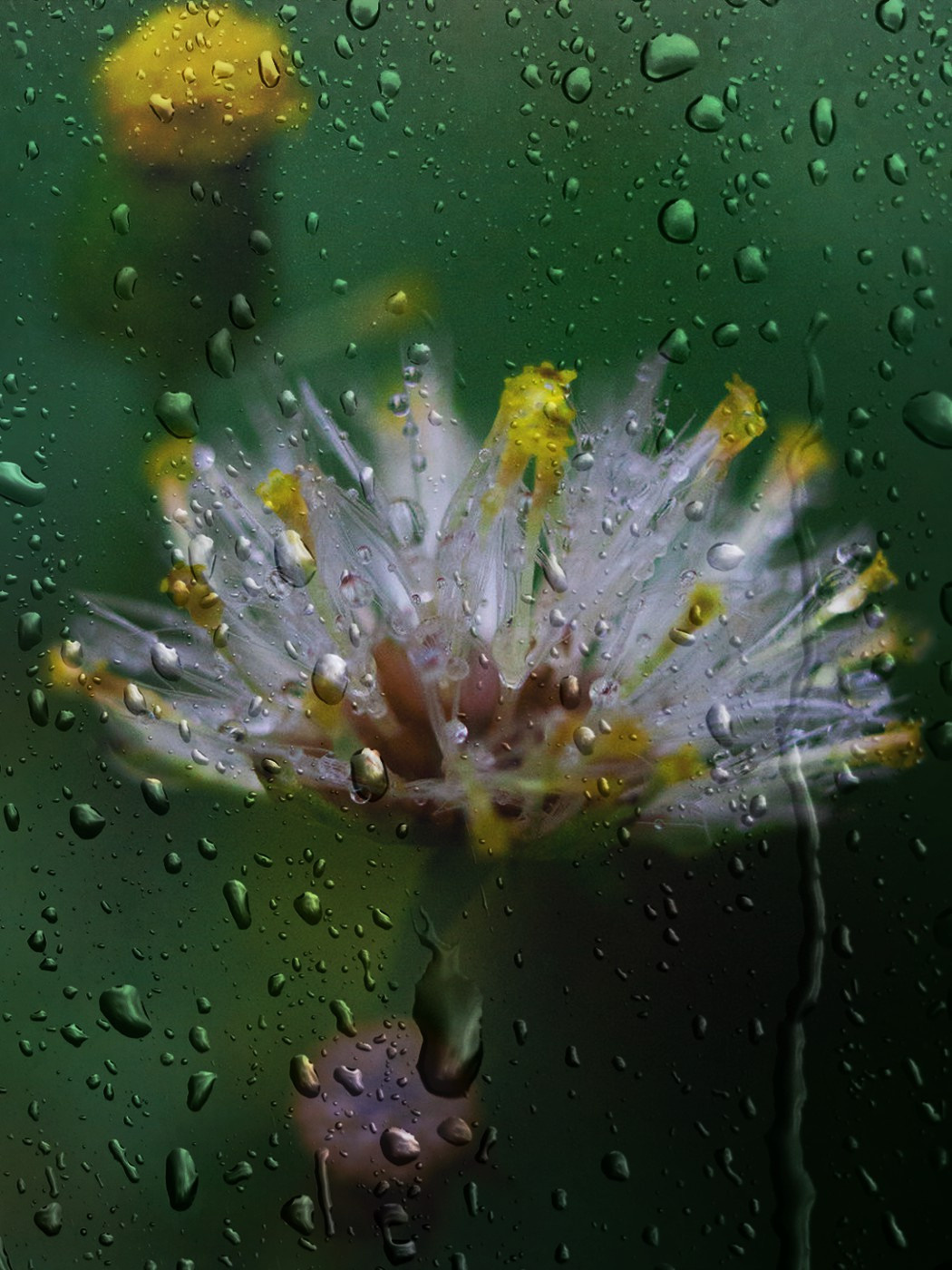 Миксы. Обо всём