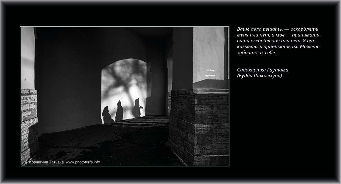 Совет дня — ориентир. Татьяна Корчагина. Фотограф, художник. Обучение фотографии