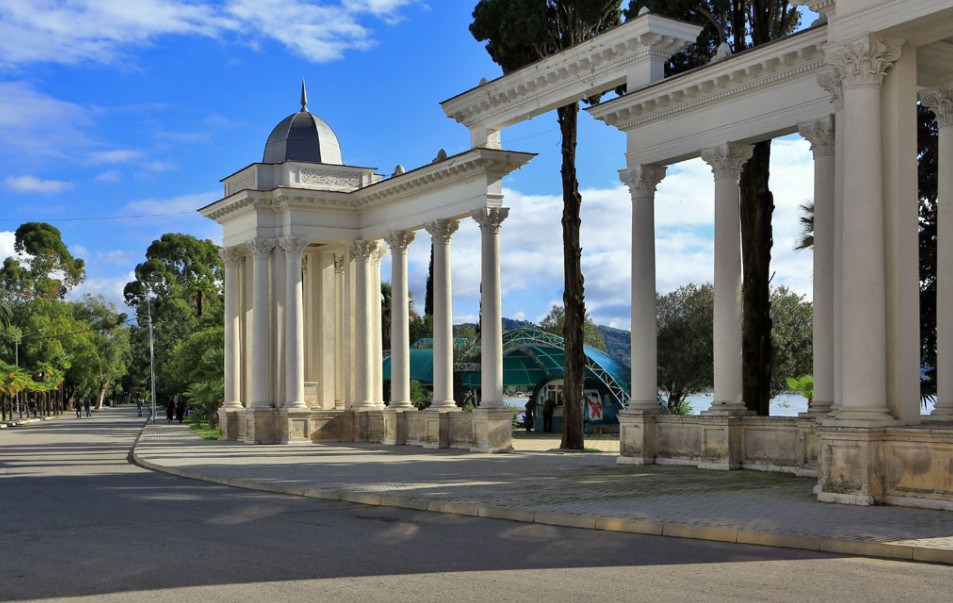 Абхазия. Мимоза. Ольга Котова