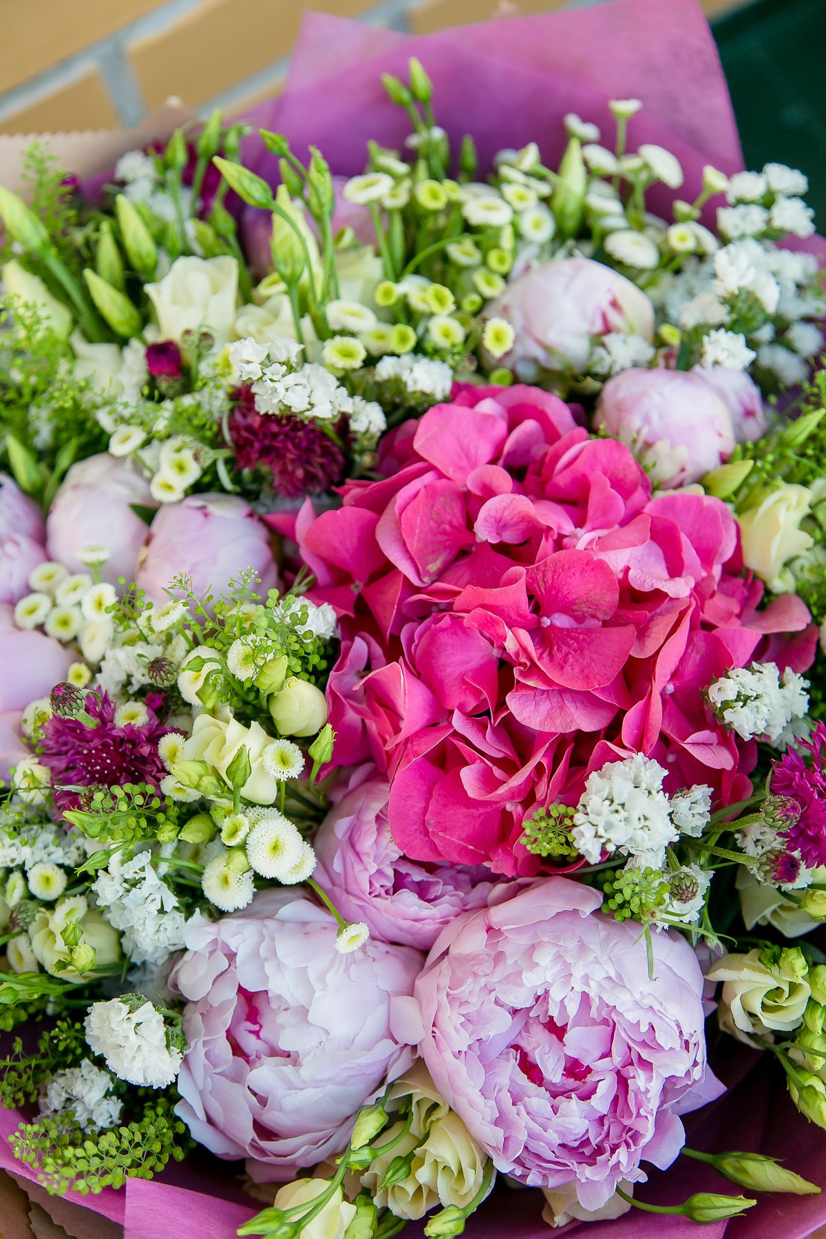 ДЕНЬ РОЖДЕНИЯ Конный клуб. Главная