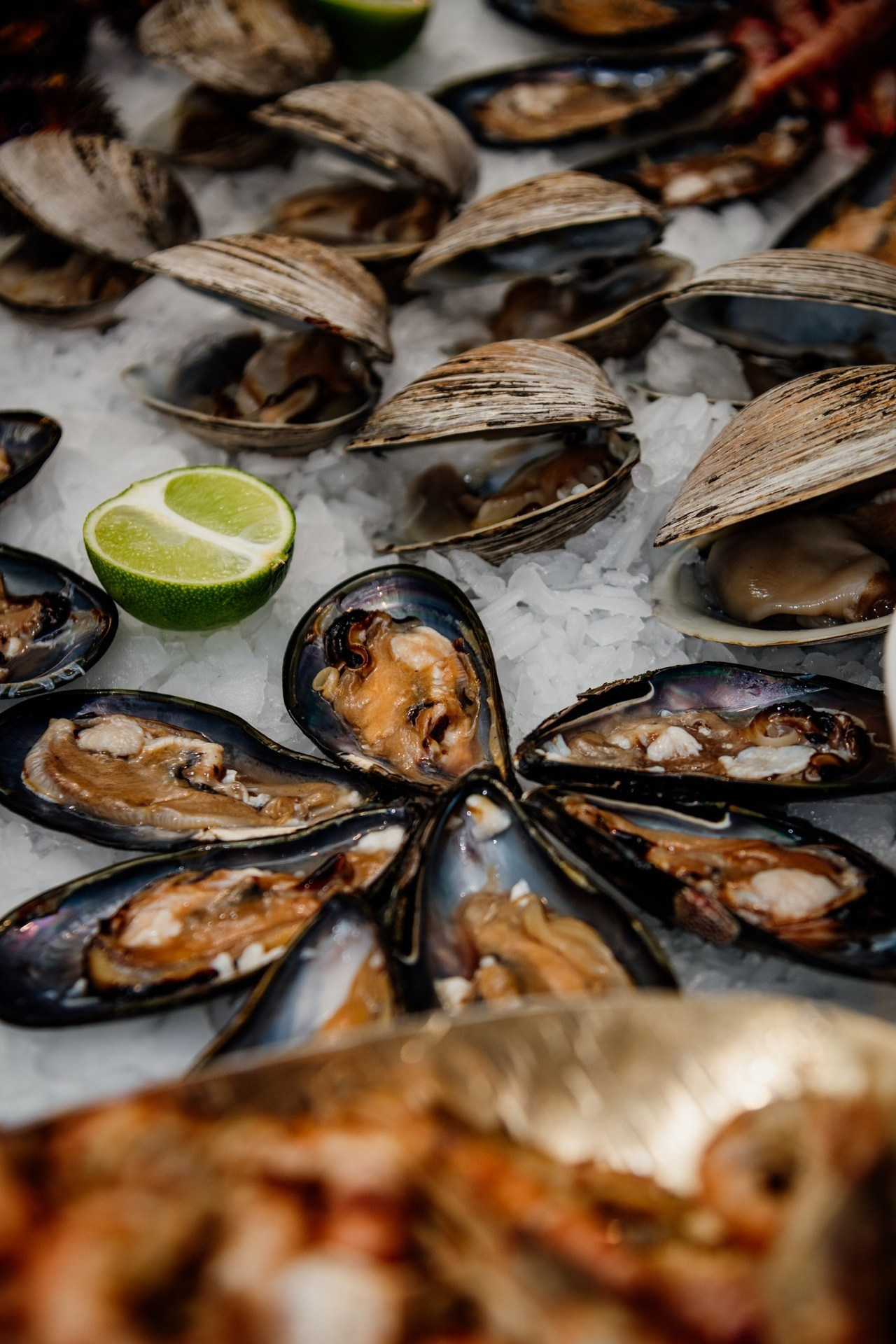 Отзывы. Фотограф Алёна Евграфова