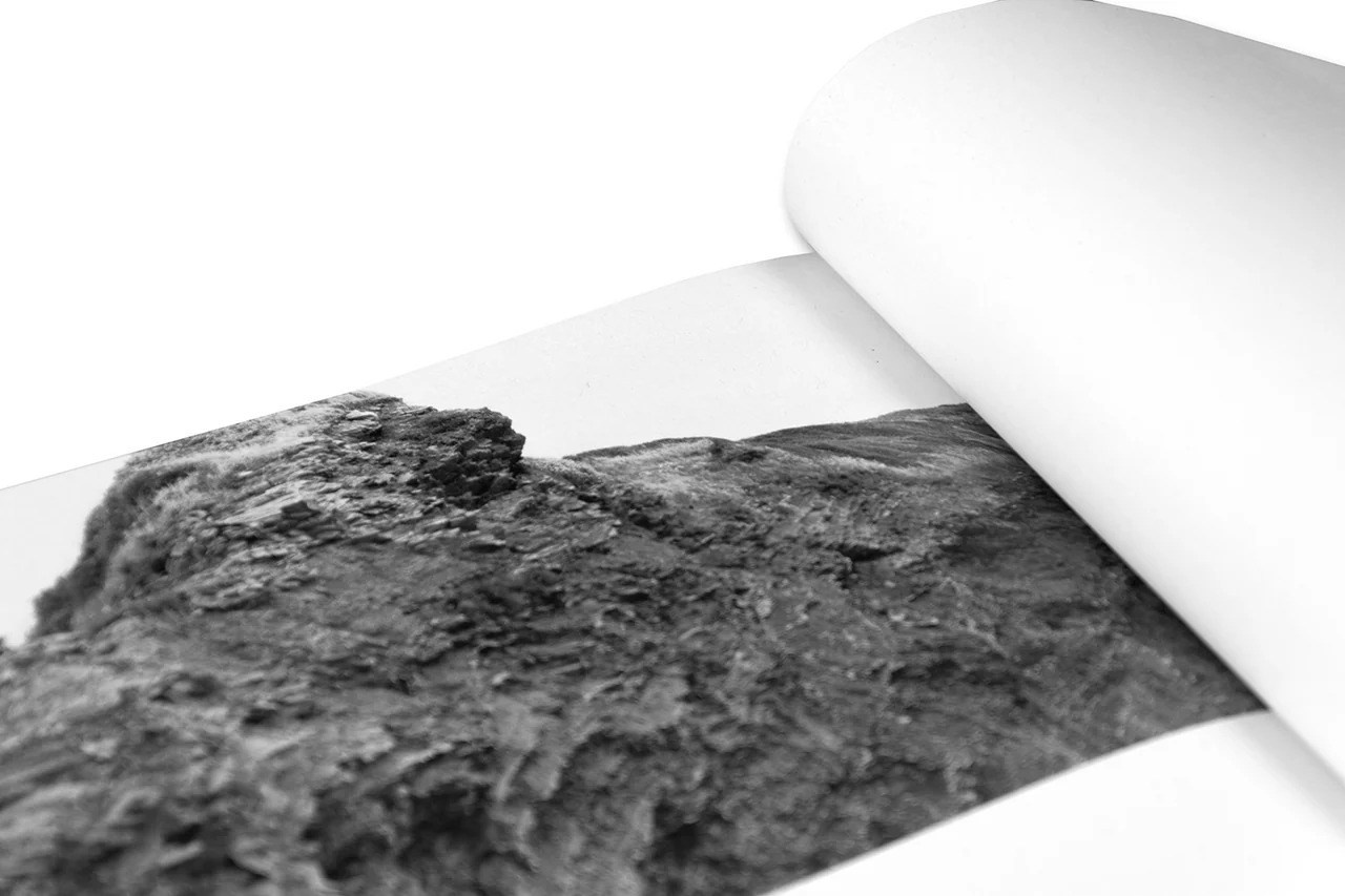 Кристина Сергеева: Делает ли красота фотографию искусством?. Самоорганизация Низина