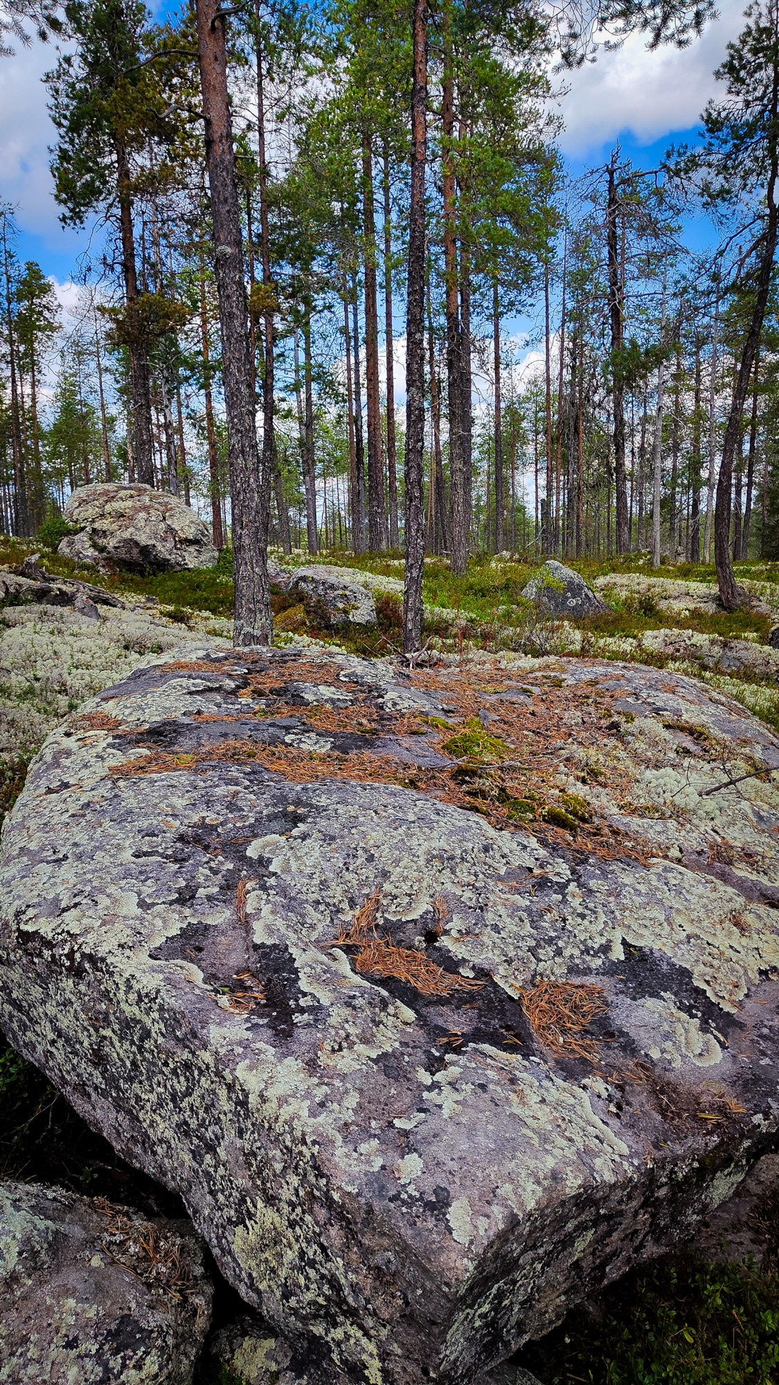 Репортаж с ретрита. Фотограф Ксения Соло