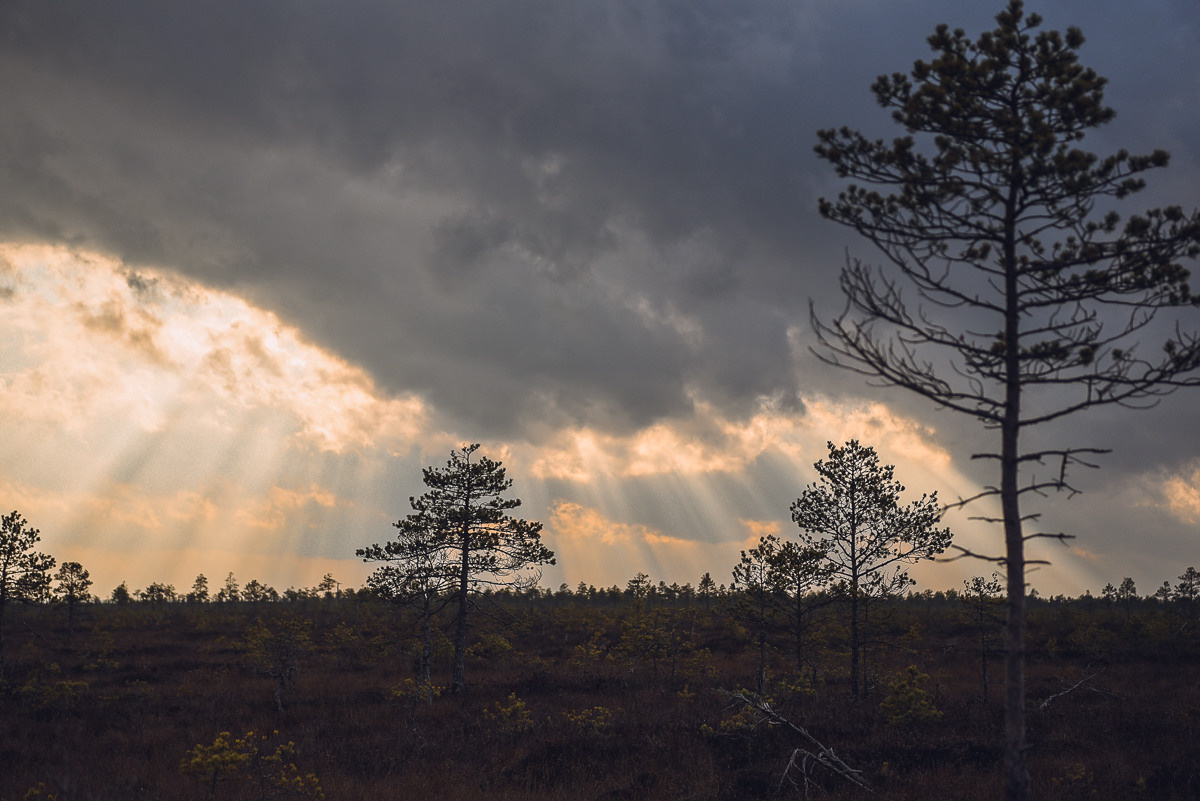 Рдея. Event фотограф Степанова Александра