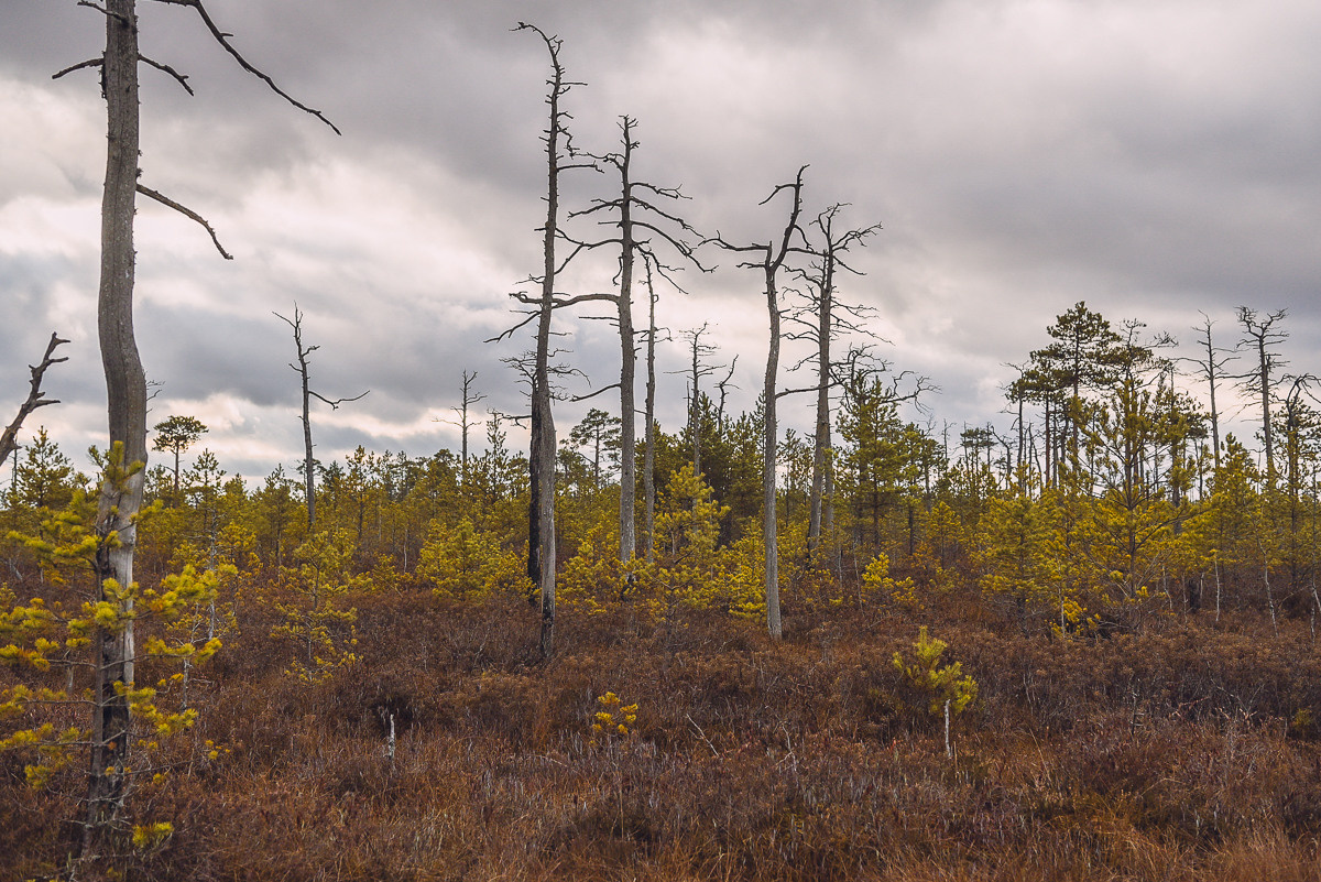 Рдея. Event фотограф Степанова Александра