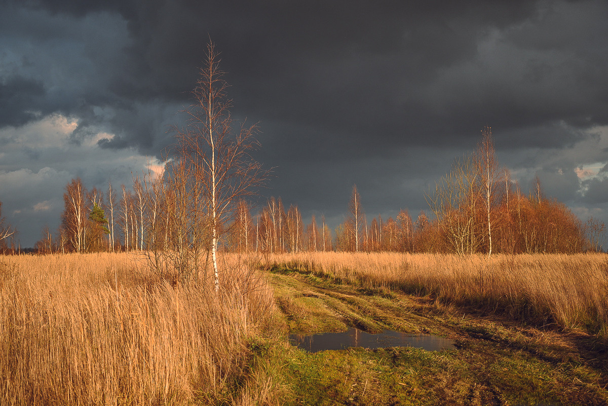 Рдея. Event фотограф Степанова Александра