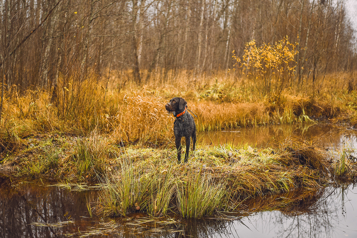 Рдея. Event фотограф Степанова Александра