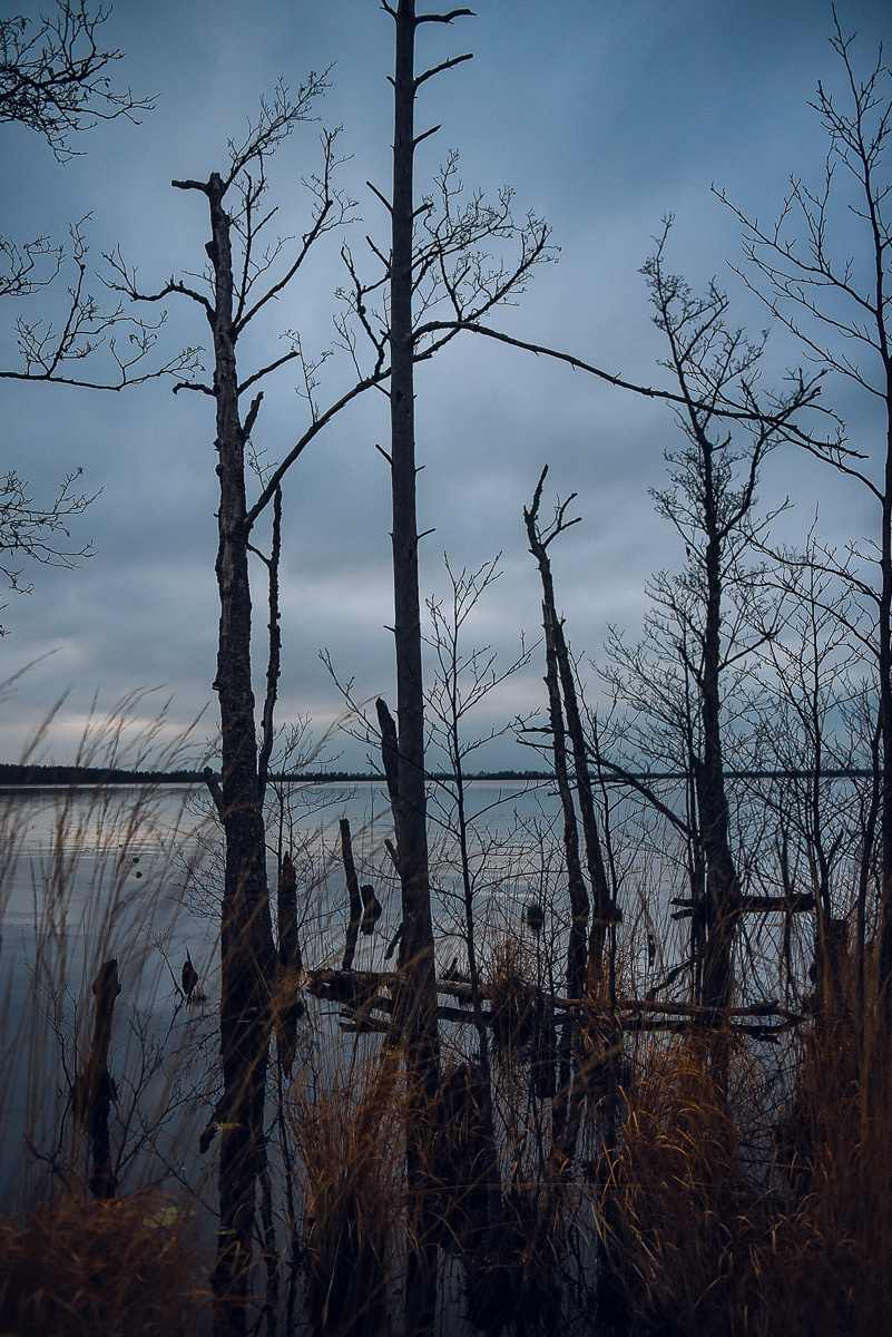 Рдея. Event фотограф Степанова Александра