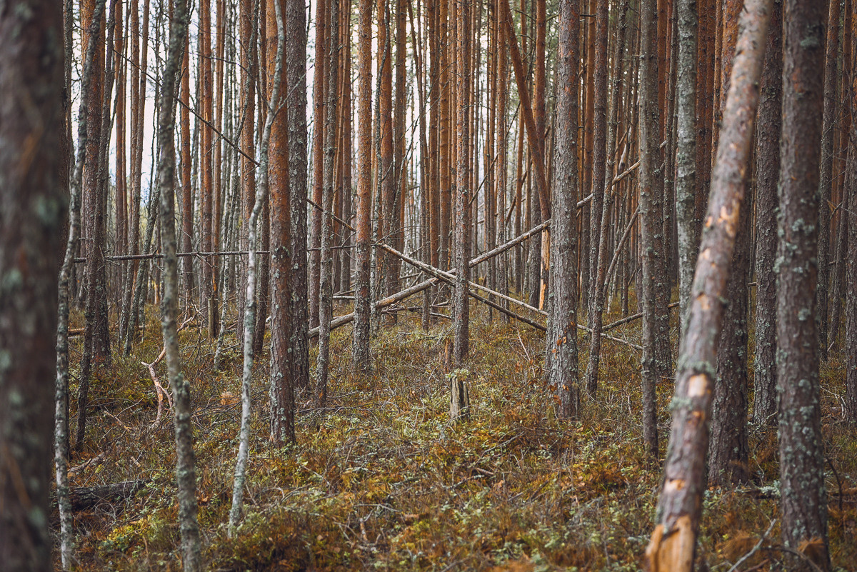 Рдея. Event фотограф Степанова Александра