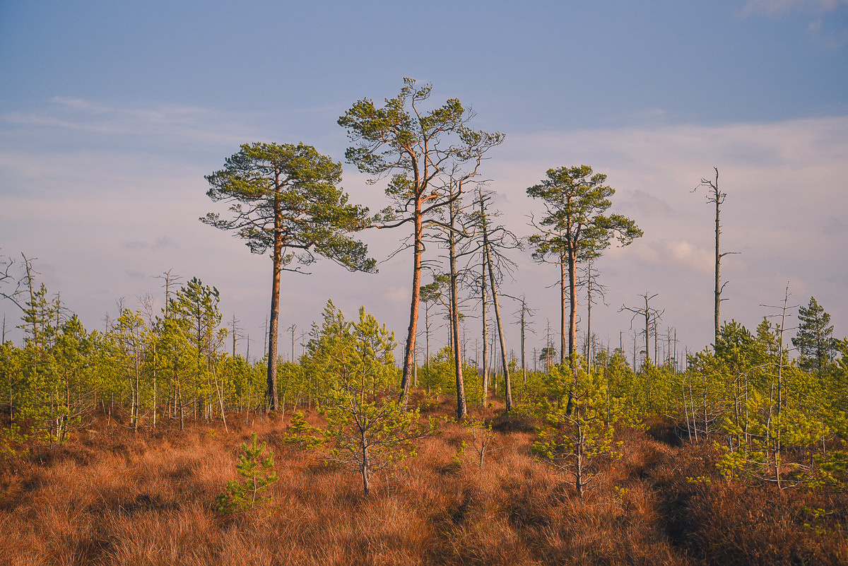 Рдея. Event фотограф Степанова Александра