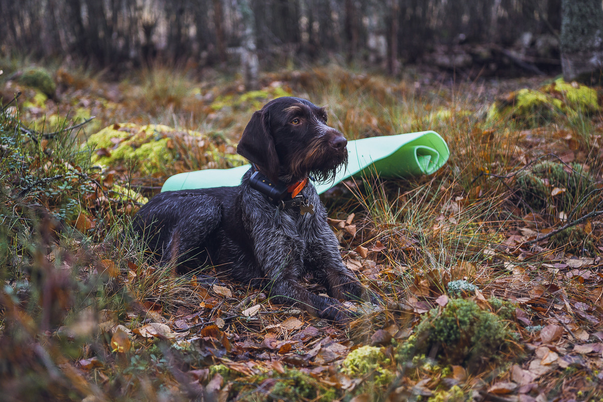 Рдея. Event фотограф Степанова Александра